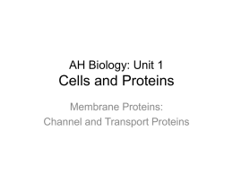 Unit 1 PPT 7 (2ciii-iv Channels and transporters)