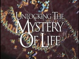 The Mystery of Life: Does God Exist?