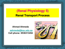 (Renal transport Process 1).