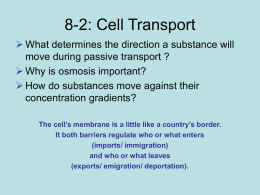 8-2: Cell Transport