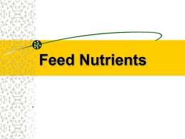 Feed Nutrients