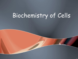 Biochemistry of Cells - Lakewood City School District
