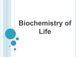 Biochemistry of life