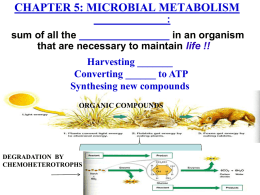 Chapter 5: Microbial Metabolism