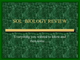 Best_SOL_review[1][1]