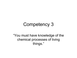 SAE Competency 3
