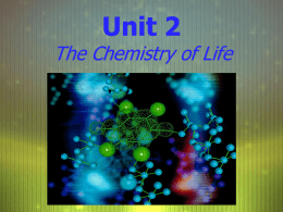 Unit 2 The Chemistry of Life