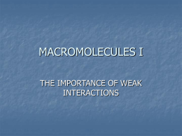 macromolecules i