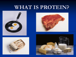 what is protein?
