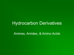 Amines, Amides, & Amino Acids