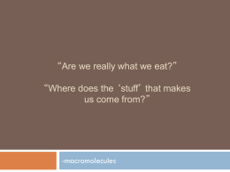 “Are we really what we eat?” “Where does the `stuff` that makes us