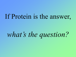 Protein - Leaves Of Life UK