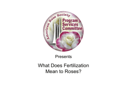 What does fertilization mean to roses?