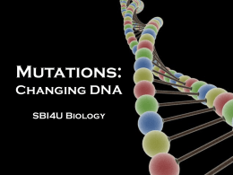 Mutations: Changing DNA