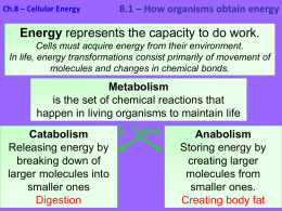 Energy represents the capacity to do work. Cells must