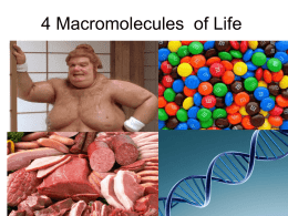 Macromolecules lecture