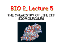 Lecture 5: The Chemistry of Life III