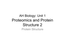 Unit 1 PPT 2 (2bi-ii Protein structure)