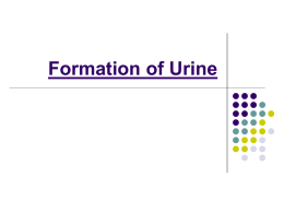 Formation of Urine