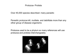 Lecture_4_Jan_13_2015_protozoa and giardia