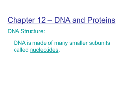 DNA and Protein Synthesis lesson