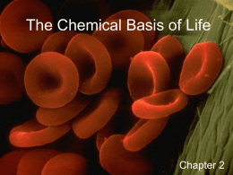 The Chemical Basis of Life - Bio-Guru