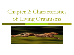 Chapter 2: Characteristics of Living Organisms