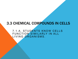 3.3 Chemical Compounds