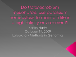 Do Halomicrobium mukohataei use potassium homeostasis to