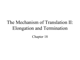 The Mechanism of Translation II