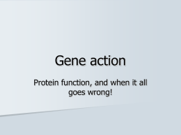 Gene action
