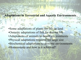 Lecture 3-Adaptations to physical environments