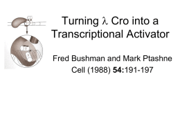 Turning Cro into a Transcriptional Activator