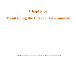 Lecture 11 - Internal Environment