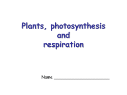 Plants and Photosynthesis