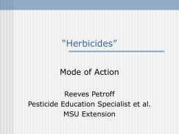 “Noxious Weed Management Herbicides and Their Mechanism of