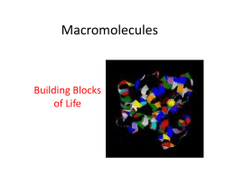 Macromolecules 2015 16