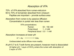 Absorption of VFA