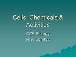 Cells, Chemicals & Activities