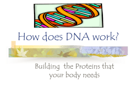 How does DNA work