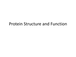 Protein Structure & Function