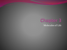 Chapter 3 PowerPoint
