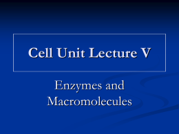 Cells Lecture V