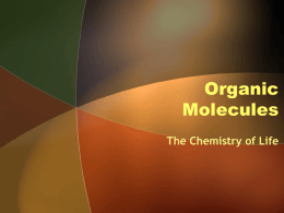 Organic Molecules Power Point
