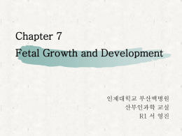 Chapter 7 Fetal Growth and Development