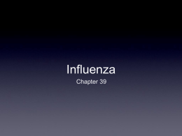 13 Chapter 39 Influenza