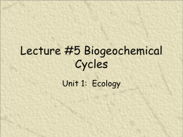 Lecture #5 Biogeochemical Cycles