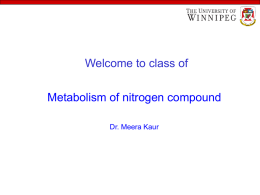 Metabolism of nitrogen compound