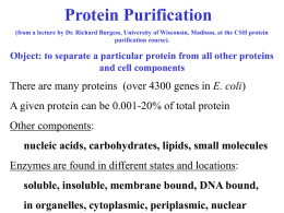 Current Approaches to Protein Purification Richard Burgess