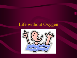 life without Oxygen2004